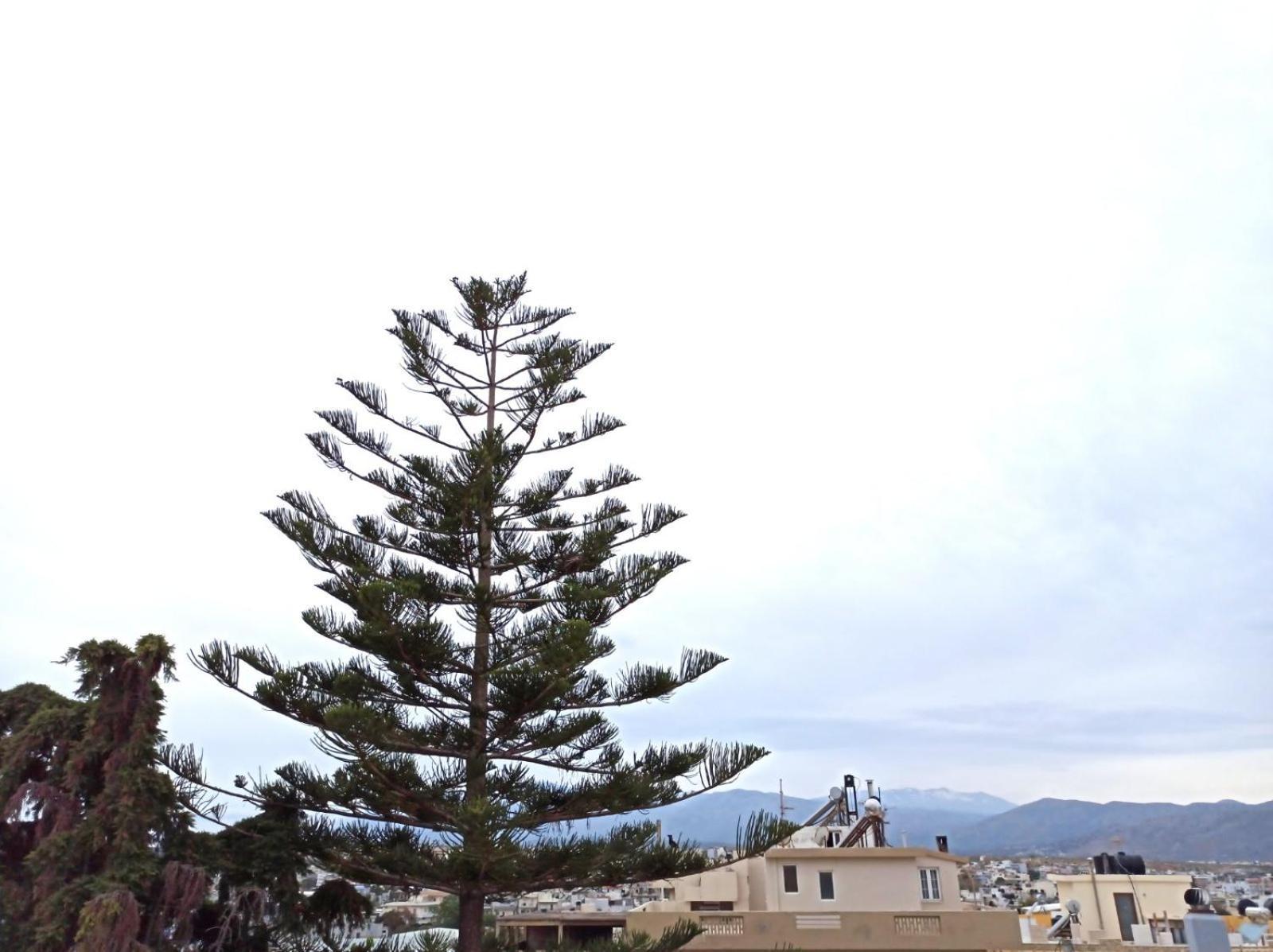 Renovated Loft Near The Center Apartment Heraklion  ภายนอก รูปภาพ